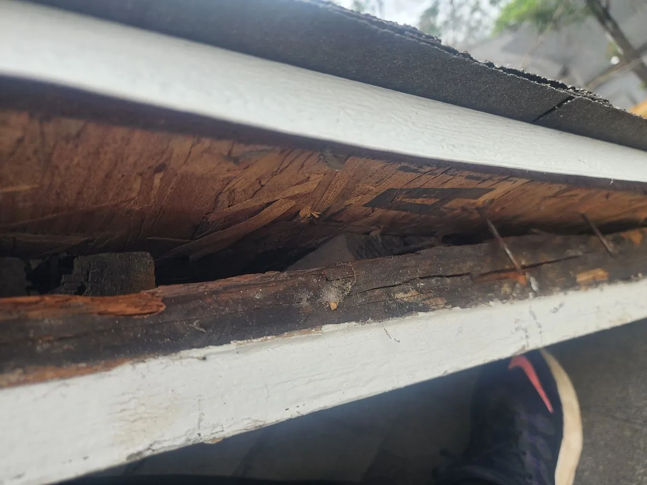 Ad Lib Family Construction fascia & soffit repair: 02 repair detail