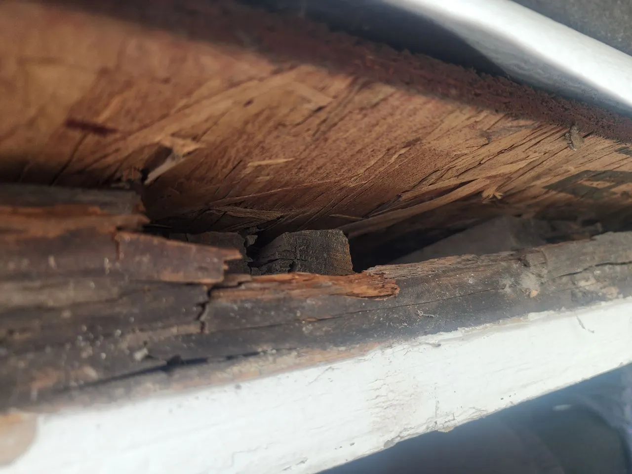 Ad Lib Family Construction fascia & soffit repair: 03 repair detail 2