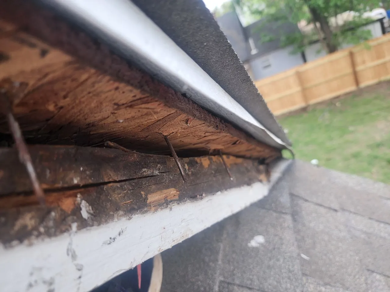 Ad Lib Family Construction fascia & soffit repair: 04 repair detail 3