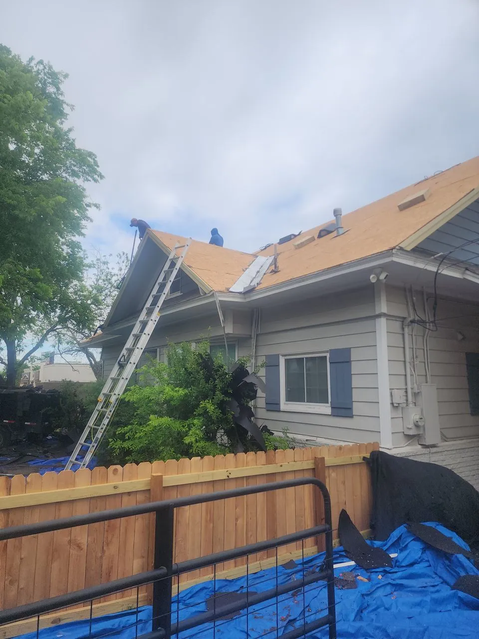 Ad Lib Family Construction roofing: 05 tearoff progress 2